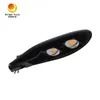 公共ライト COB AC パワー 100W LED 屋外用路灯
