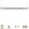 Rygh 250W リニア LED ハイベイライト ガレージ照明器具